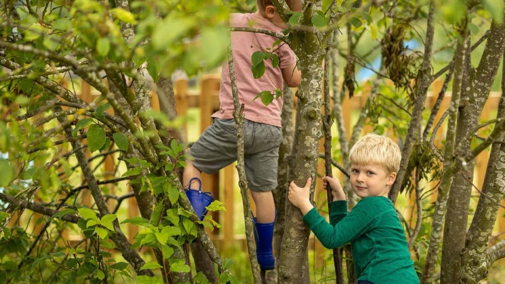 Children Nursery - Inspired Outdoor Play