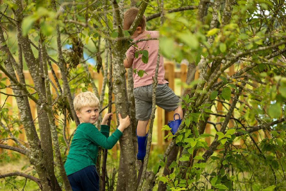 Wilburton Nursery Ofsted Outstanding